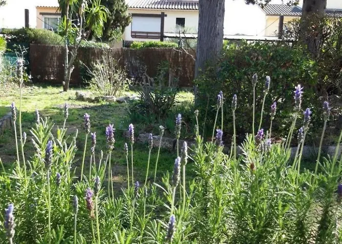 5 By Interhome Sainte-Maxime